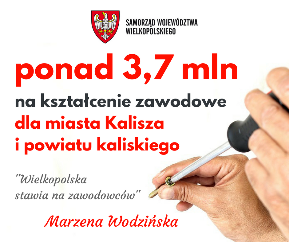 Read more about the article WIELKOPOLSKA STAWIA NA ZAWODOWCÓW