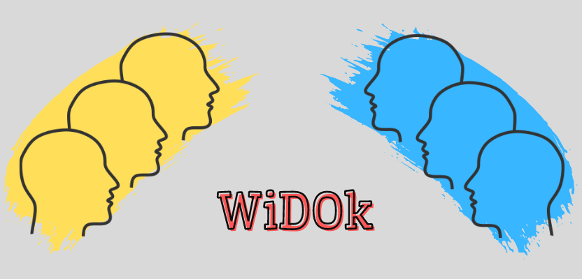 Read more about the article Wielkopolskie Debaty Oksfordzkie WiDOk