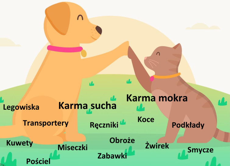 Read more about the article „Pełna micha” – akcja Zwierzęcego Banku Karmy